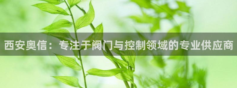 新宝gg龙虎规则