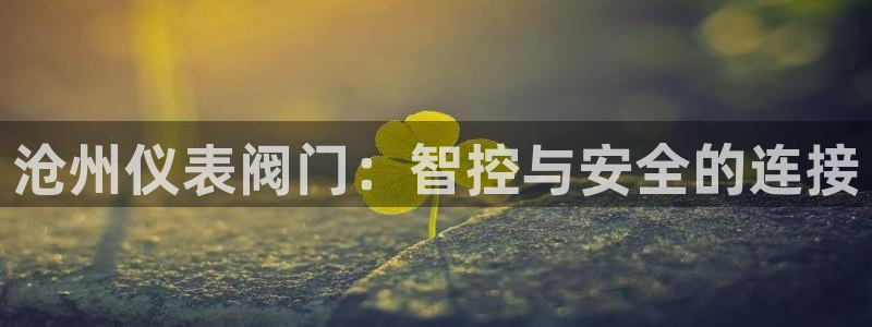 新宝gg 登录页面