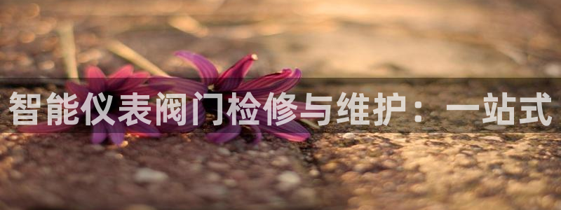 新宝gg返点模式
