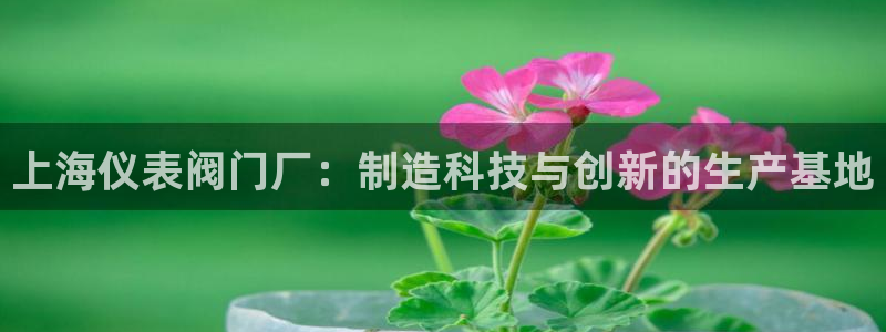 新宝gg作弊