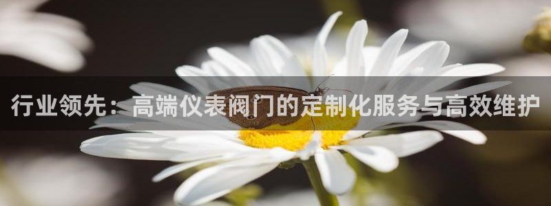 新宝一GG
