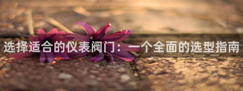 新宝gg网投