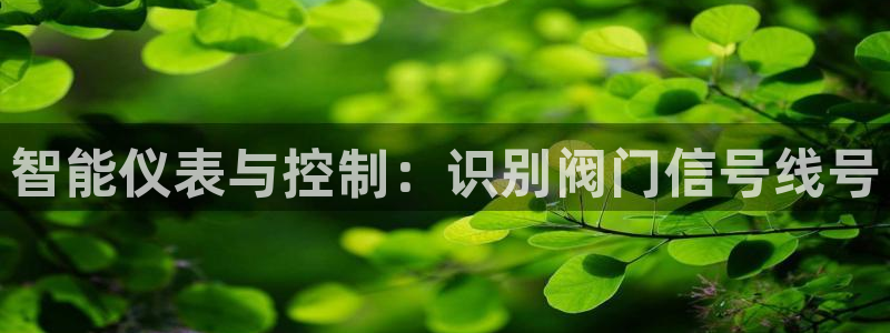 新宝gg—创造