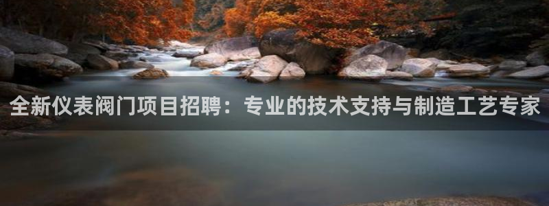 新宝gg套利