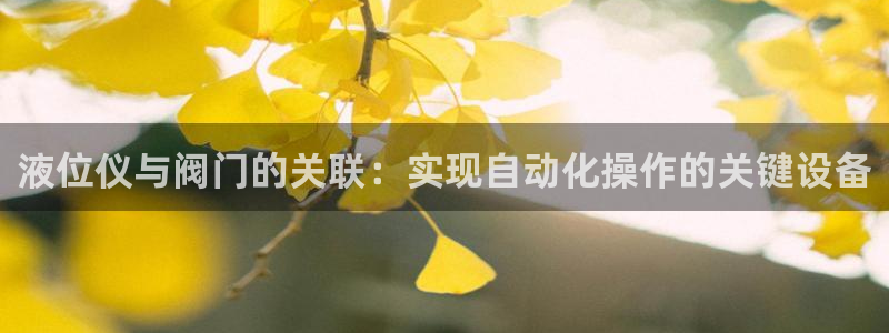 【新宝gg】