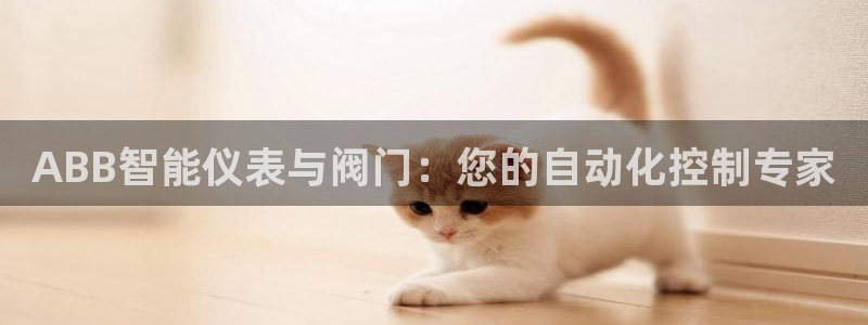 新宝gg登陆平台