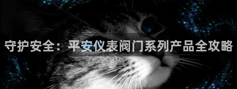 新宝gg-