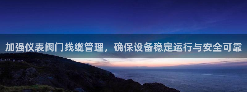 新宝gg平台开发