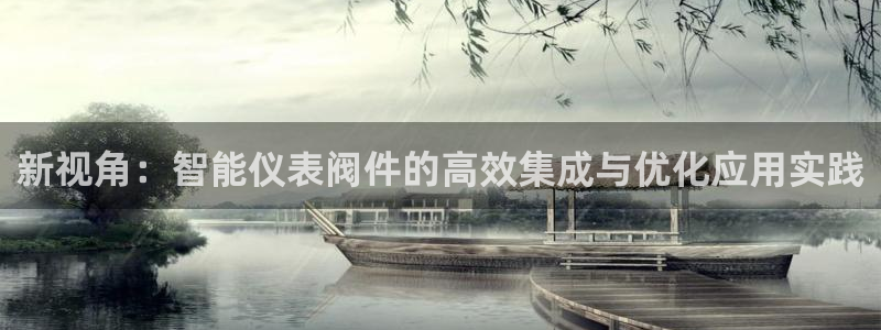 新宝gg是什么
