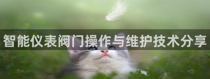 新宝gg 登录页面