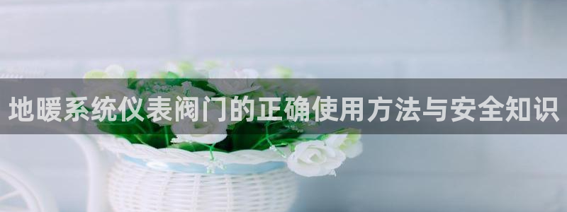 新宝gg软件下载