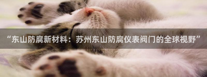 新宝gg系列