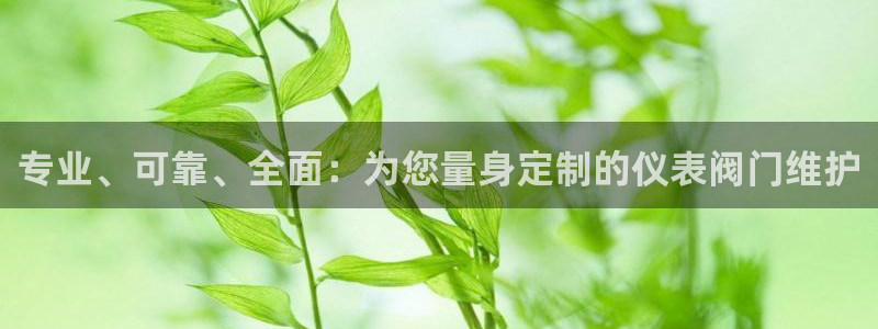 新宝gg游戏