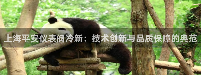 新宝gg是在境外吗