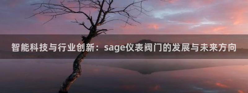 新宝GG亚洲
