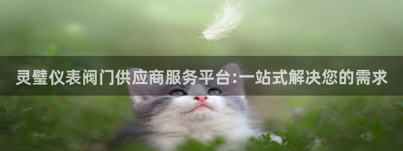 新宝gg娱乐怎么样
