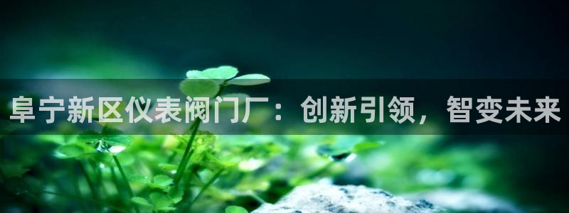 新宝哥gg