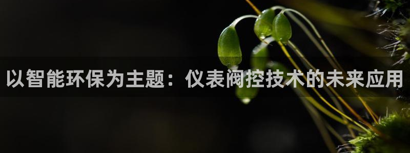 新宝gg技术