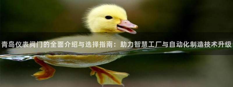 新宝gg招商