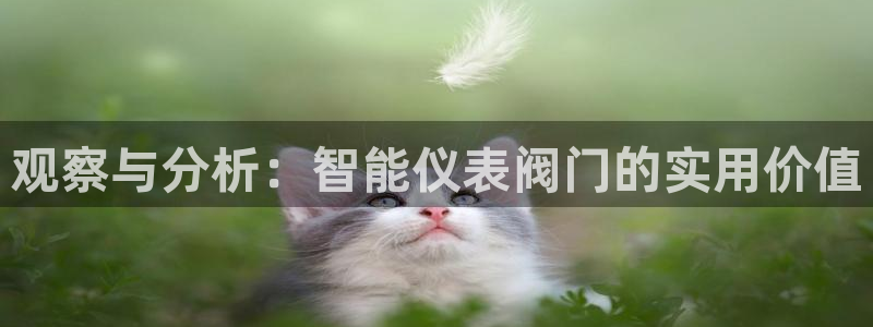 关于新宝GG