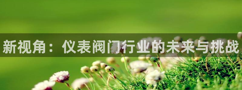 新宝gg线长