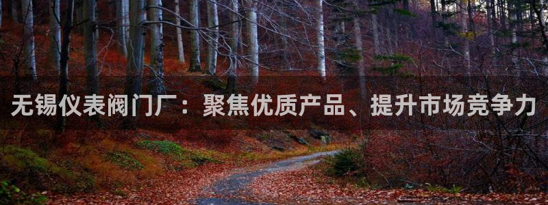 新宝新宝gg开户流程