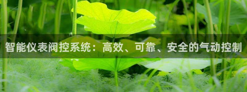 新宝gg官方下载