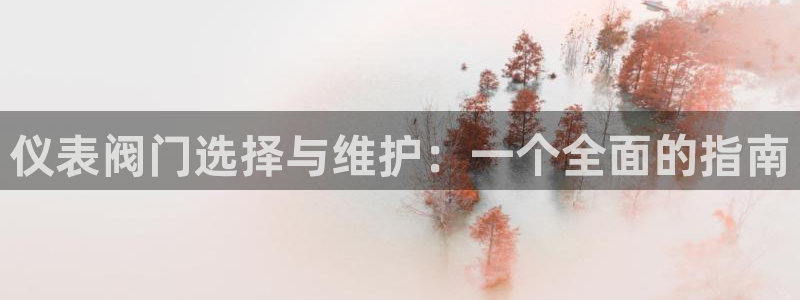 新宝gg登录线路测试