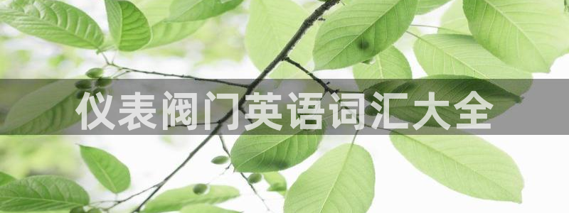 新宝GG于六七五一38