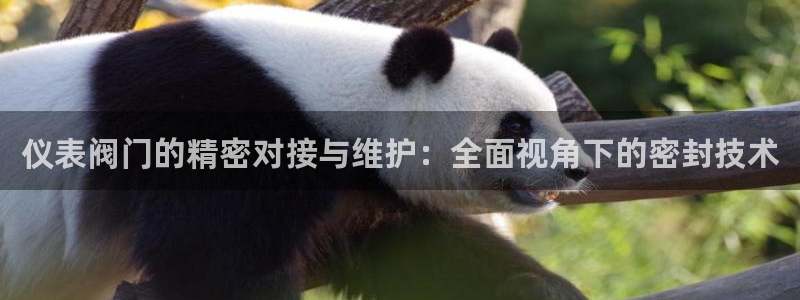 新宝gg 平台怎么样