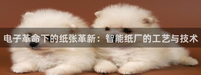 新宝gg创造奇迹