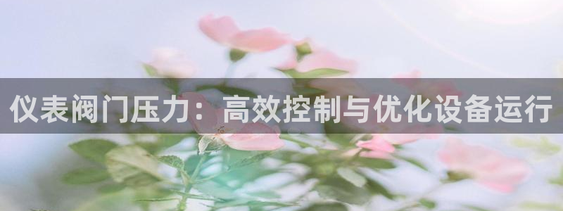 新宝gg — 创造!