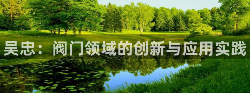 关于新宝GG