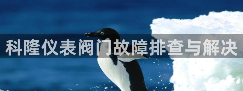 百度新宝gg