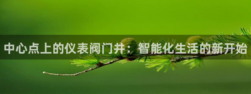 新宝gg登录注册