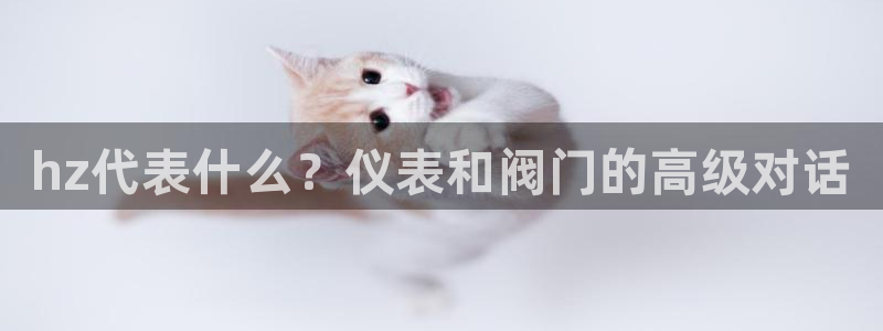 新宝gg注册q 26880