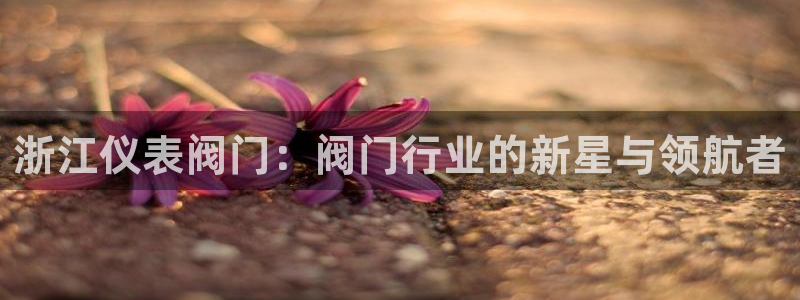 新宝gg如何注册登录