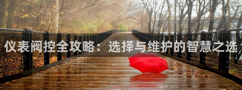 www.新宝gg