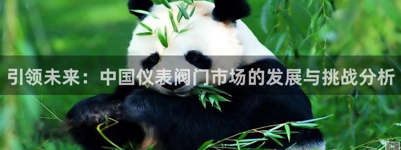 新宝gg 创造奇迹