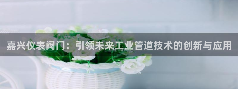 新宝gg手机app