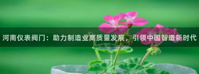 新宝GG用哪个网址登录