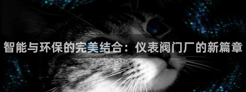 新宝GG53339咨询新宝GG