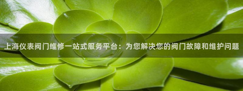 新宝 gg 下载