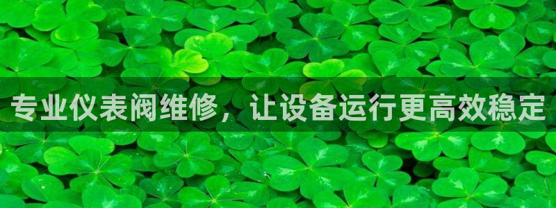 新宝gg手机登录官网