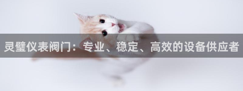 新宝gg注册 776317