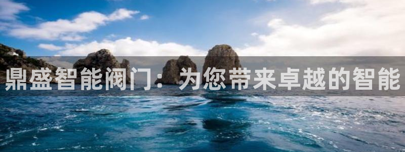 新宝gg代理登录