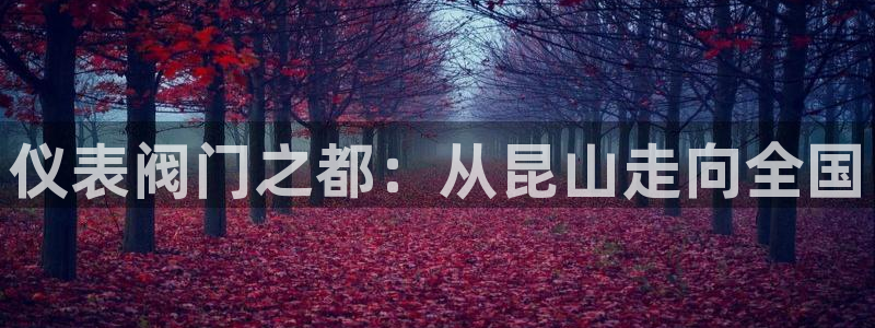 新宝gg登录平台