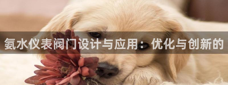 新宝gg怎么做代理