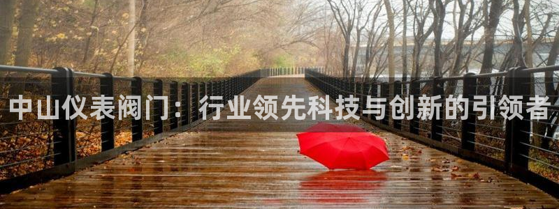 广东新宝电器gg