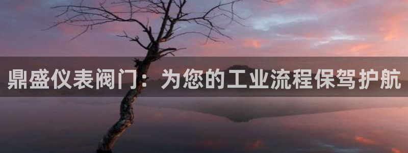 新宝gg登录注册